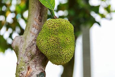 《赛博朋克2077》1.61更新 追加AMD FSR 2.1支持